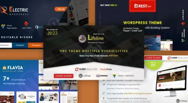 5 Best Premium WordPress Themes Designed by Webinane preview