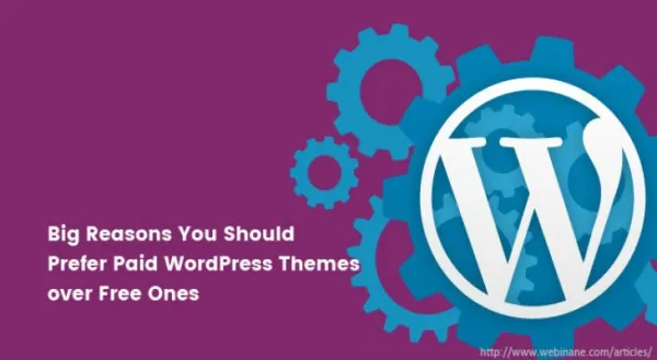 5 Big Reasons You Should Prefer Paid WordPress Themes over Free Ones preview