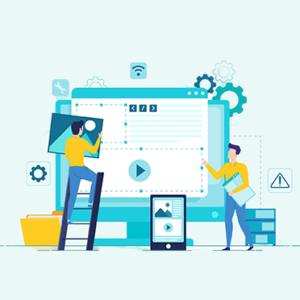 Plugins and Theme Installation Service - Demo Import Service