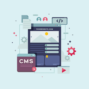 WordPress Plugin Development and Customization Services