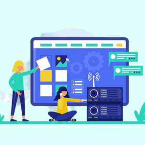 WordPress Theme Customization and Data Entry Services